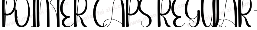 POINTER CAPS REGULAR字体转换